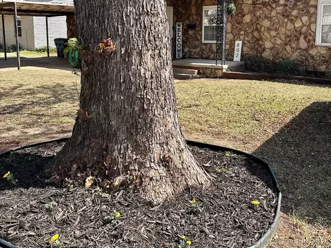 Exterior - 802 S Howerton Ave, Cushing, OK 74023 photo 15 of 15