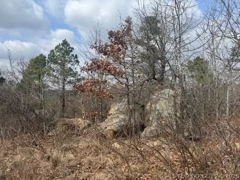 E 1732 Road, Clayton, OK 74536