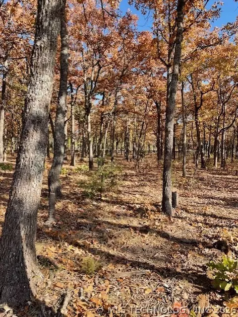 W State Hwy 3, Ringold, OK 74754 photo 5