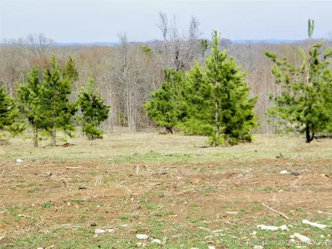 2 E Washington St, Idabel, OK 74745 photo 19