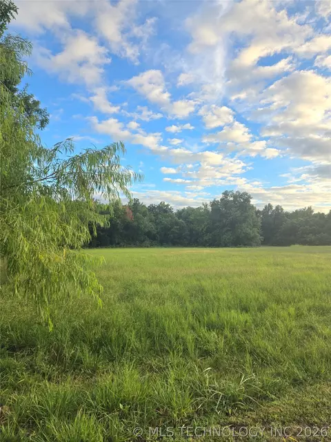 Peach, Locust Grove, OK 74352