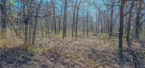12 Lenna Rd, Eufaula, OK 74432 photo 3