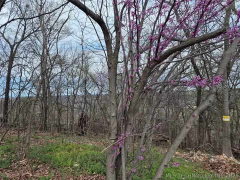 341 E 437 Rd, Spavinaw, OK 74366 photo 8