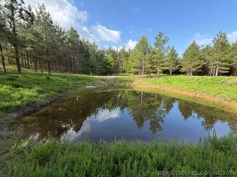 View/Area - 64 Pine Root Ct, Broken Bow, OK 74728 photo 6 of 8