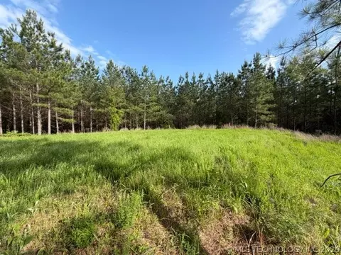Other - 64 Pine Root Ct, Broken Bow, OK 74728 photo 11 of 11
