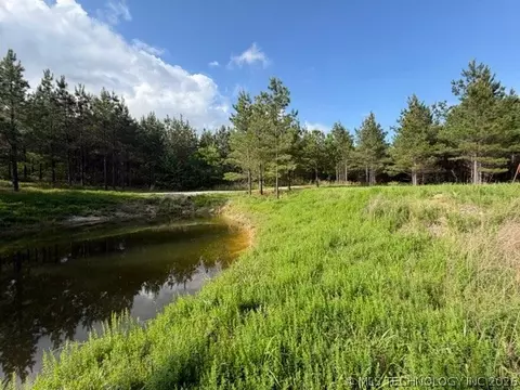 View/Area - 64 Pine Root Ct, Broken Bow, OK 74728 photo 7 of 8