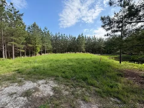 Other - 64 Pine Root Ct, Broken Bow, OK 74728 photo 8 of 11