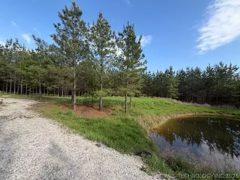 View/Area - 64 Pine Root Ct, Broken Bow, OK 74728 photo 3 of 8