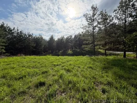 Other - 64 Pine Root Ct, Broken Bow, OK 74728 photo 9 of 11