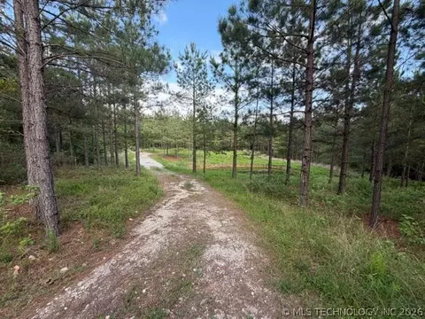 View/Area - 64 Pine Root Ct, Broken Bow, OK 74728 photo 1 of 8