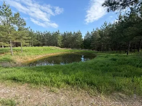 View/Area - 64 Pine Root Ct, Broken Bow, OK 74728 photo 2 of 8