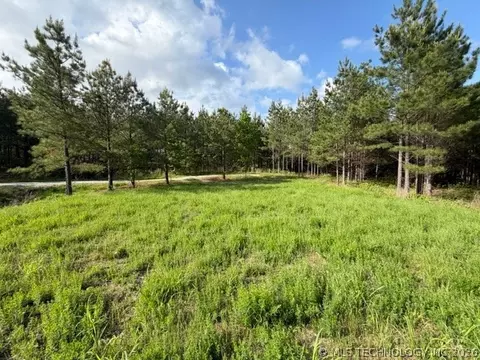 Other - 64 Pine Root Ct, Broken Bow, OK 74728 photo 10 of 11
