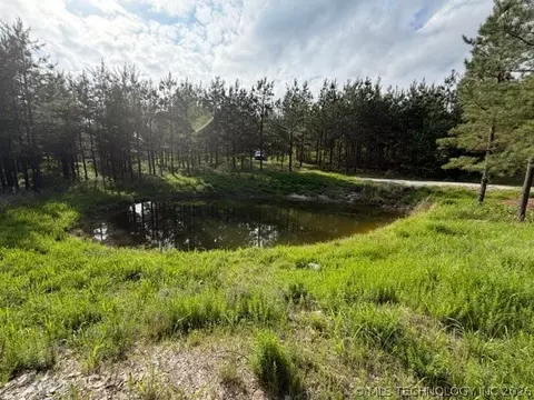 View/Area - 64 Pine Root Ct, Broken Bow, OK 74728 photo 5 of 8