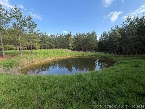 View/Area - 64 Pine Root Ct, Broken Bow, OK 74728 photo 8 of 8