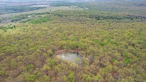 001 E Freds Fish Camp Rd, Stringtown, OK 74569 photo 20