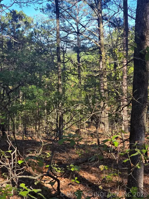 Wolf Trail, Moyers, OK 74557