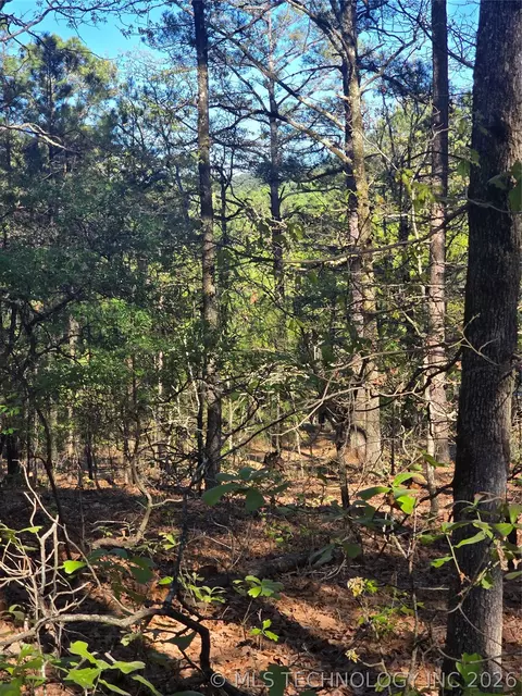 Wolf Trail, Moyers, OK 74557