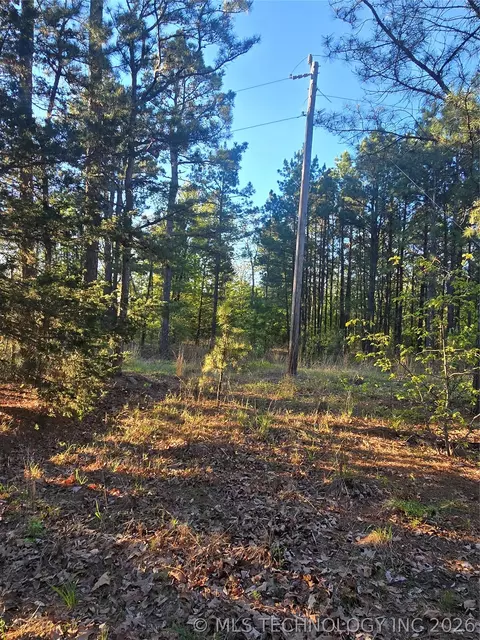 77 NE Little Flat Top, Moyers, OK 74523