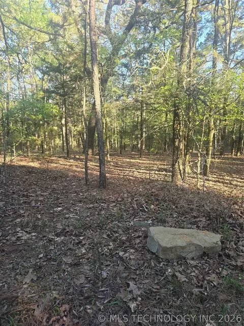 43 Buck Crk, Moyers, OK 74523