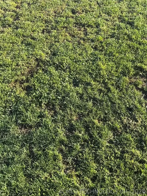 401 N Boudinot Ave, Dewey, OK 74029