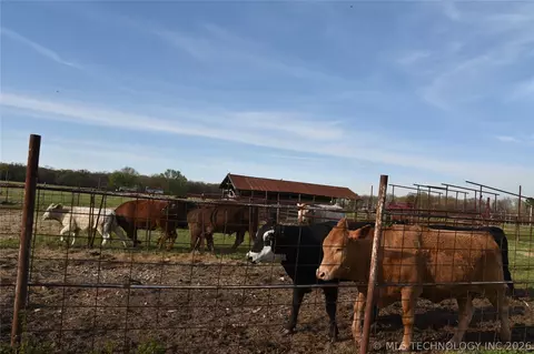 45507 S 660 Rd, Jay, OK 74346 photo 10
