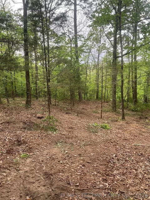 1 River Ridge Rd, Watson, OK 74963 photo 12