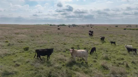 0004 E 4500 Rd, Pawnee, OK 73061 photo 29