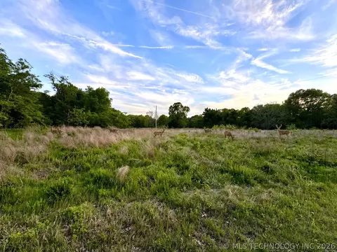 9270 E 420 Rd, Strang, OK 74330 photo 8