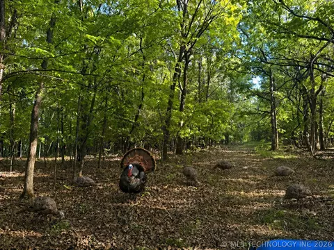9270 E 420 Rd, Strang, OK 74330 photo 11