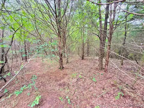 46 Lakeside Cir, Eufaula, OK 74432 photo 13