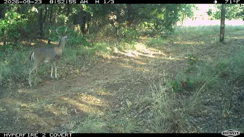 16558 Midway, Springer, OK 73458 photo 33