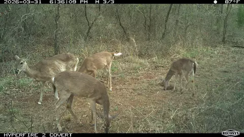 16558 Midway, Springer, OK 73458 photo 27