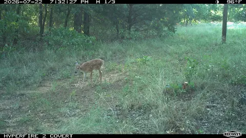 16558 Midway, Springer, OK 73458 photo 38