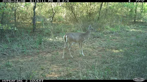16558 Midway, Springer, OK 73458 photo 31