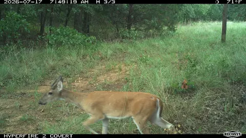 16558 Midway, Springer, OK 73458 photo 28