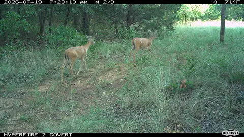 16558 Midway, Springer, OK 73458 photo 37