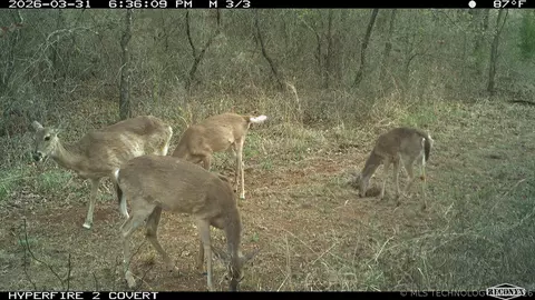 16558 Midway, Springer, OK 73458 photo 21