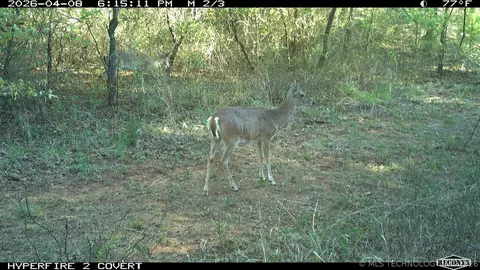 16558 Midway, Springer, OK 73458 photo 23