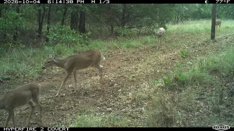 16558 Midway, Springer, OK 73458 photo 36