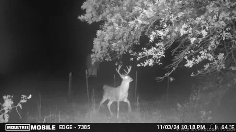 16558 Midway, Springer, OK 73458 photo 25