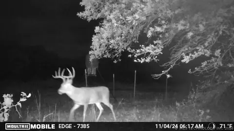 16558 Midway, Springer, OK 73458 photo 24