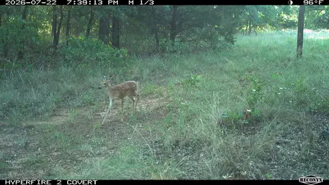 16558 Midway, Springer, OK 73458 photo 29
