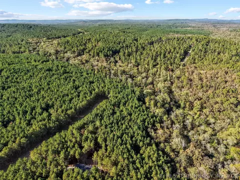 134 Wolf Tree Trl, Broken Bow, OK 74728 photo 9