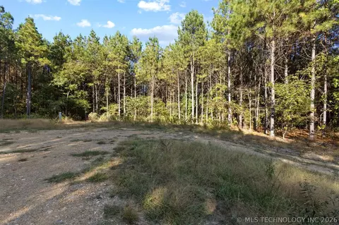 134 Wolf Tree Trl, Broken Bow, OK 74728