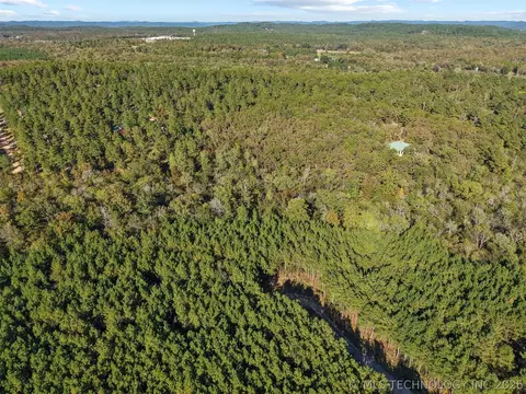 134 Wolf Tree Trl, Broken Bow, OK 74728 photo 21