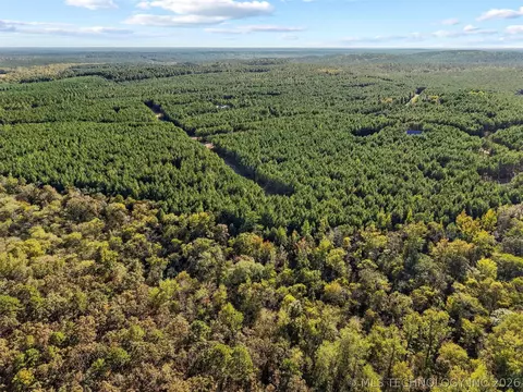 134 Wolf Tree Trl, Broken Bow, OK 74728 photo 13