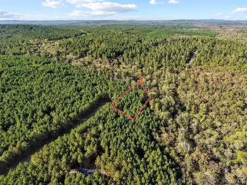 134 Wolf Tree Trl, Broken Bow, OK 74728 photo 8