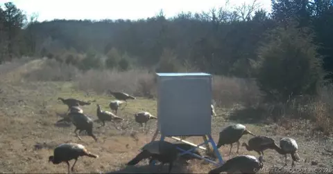 958 S Buffalo Rd, Stuart, OK 74570 photo 9