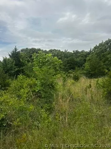 958 S Buffalo Rd, Stuart, OK 74570 photo 60