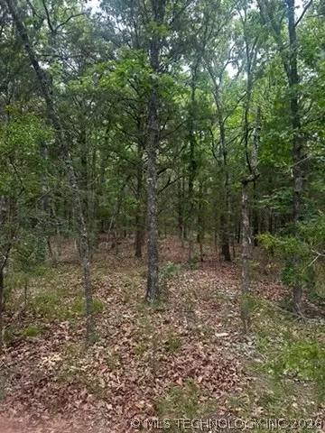 958 S Buffalo Rd, Stuart, OK 74570 photo 52